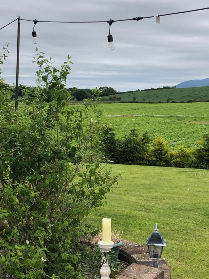 Leigh House Bed And Breakfast Ballyroney Kültér fotó